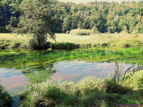 Der Fluss darf hier noch natürlich fließen