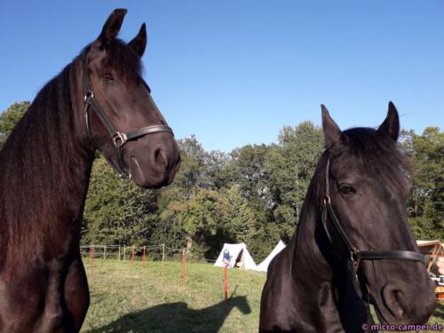 Im Lager treffe ich auf Friesen, die mich weit überragen.