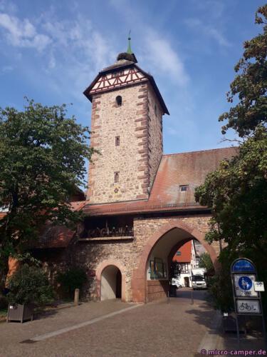 Zell ist klein, aber fein