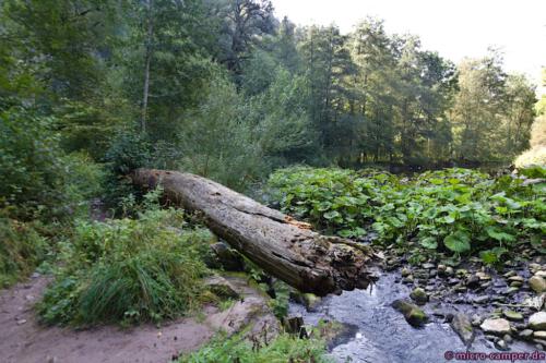 Man überlässt die Natur größtenteils sich selbst
