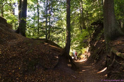 Gegen Ende nochmals schönster Laubwald sowie später schmale Pfade, hoch und runter