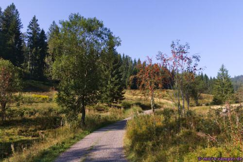 Erste Etappe durch das Hochmoor