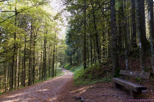 Letzte Etappe zurück zum Notschrei