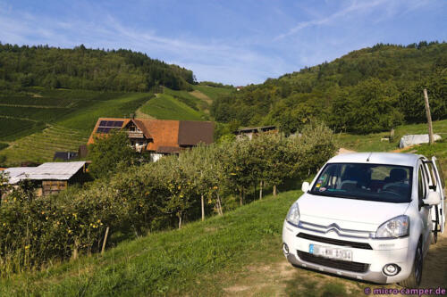Zwischen Weinreben, Obstbäumen und Wäldern, ein wunderschöner Stellplatz!