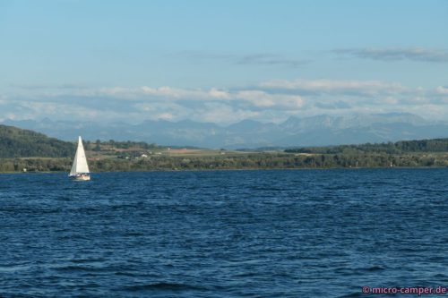 Ungewohnte Kombination: