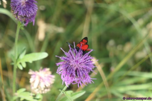 Aber auch kleine Dinge