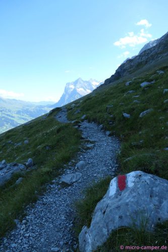 Ich laufe im Schatten, aber um mich herum