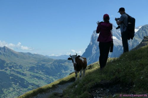 Wir Wanderer müssen ausweichen,