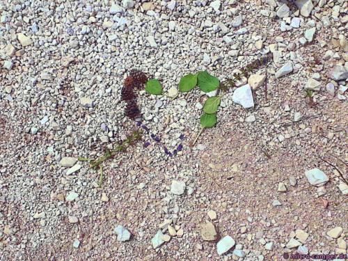 Jemand hat den Weg hübsch dekoriert