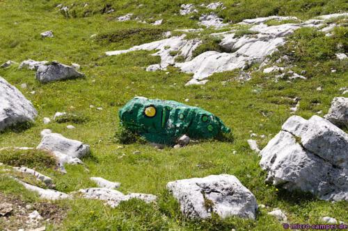 Den Blick schweifen lassen, um nichts zu verpassen