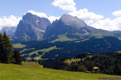 Plattkofel und Langkofel überragen die Seiser Alm