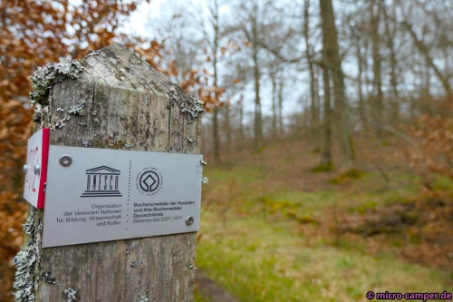 Die Buchenwälder stehen unter besonderem Schutz