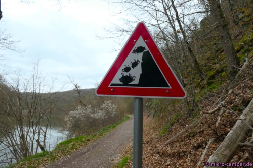 Autsch'n! Die armen Schäfchen!