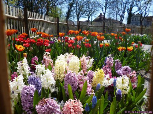 Frühling liegt nicht nur in der Luft