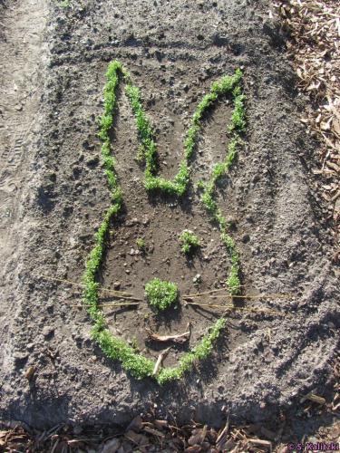 Ein leeres Beet wurde mal schnell für einen Ostergruß bepflanzt