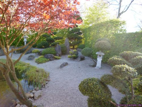 Dieser Koi-Zen-Garten strahlte für mein Empfinden ganz viel Ruhe aus