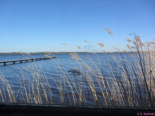 Blick vom Strandcafé auf den See