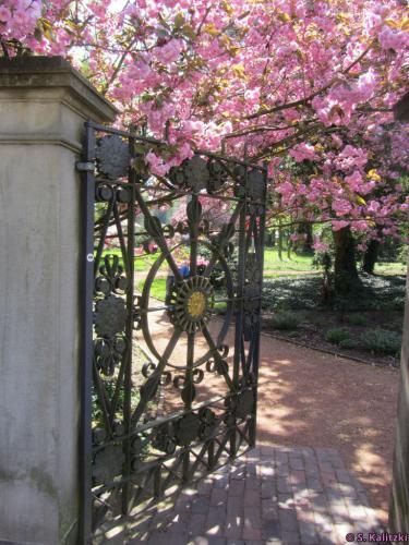 Der überaus schön geschmückte Eingang zum Schlosspark